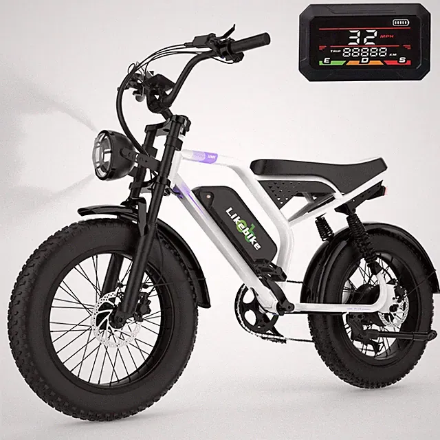 2000W Electric Bike 20" Fat Tire Ebike 48V 23Ah Mountain Bicycle Adult 36MPH