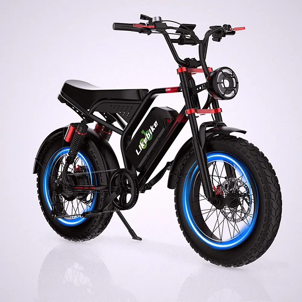 3000W 48V 47MPH E-bike with 20" Fat Tires Mountain Electric Bicycle for Adults