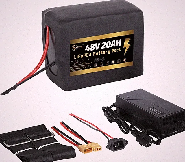48v E B/ike Lifepo4 Bi-ke Battery Pack 20Ah for 1000W El/ec tric Motor 30A BMS